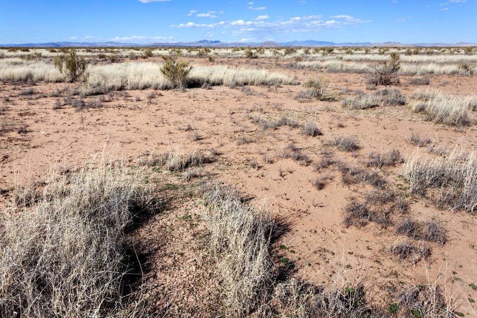 East of the Mimbres River