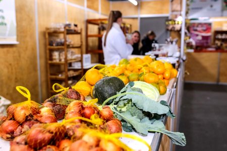 14.06.2018 Feira da Agricultura Familiar - Fotos Gustavo Mansur