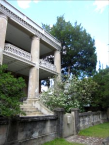 Red cedar on the right side of the B.B. Sams House