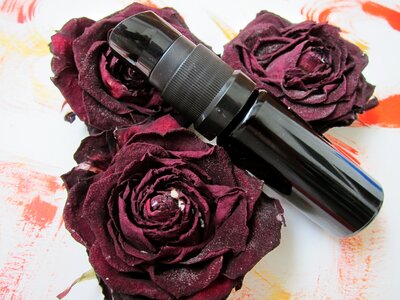 Cosmetic wellness cosmetology