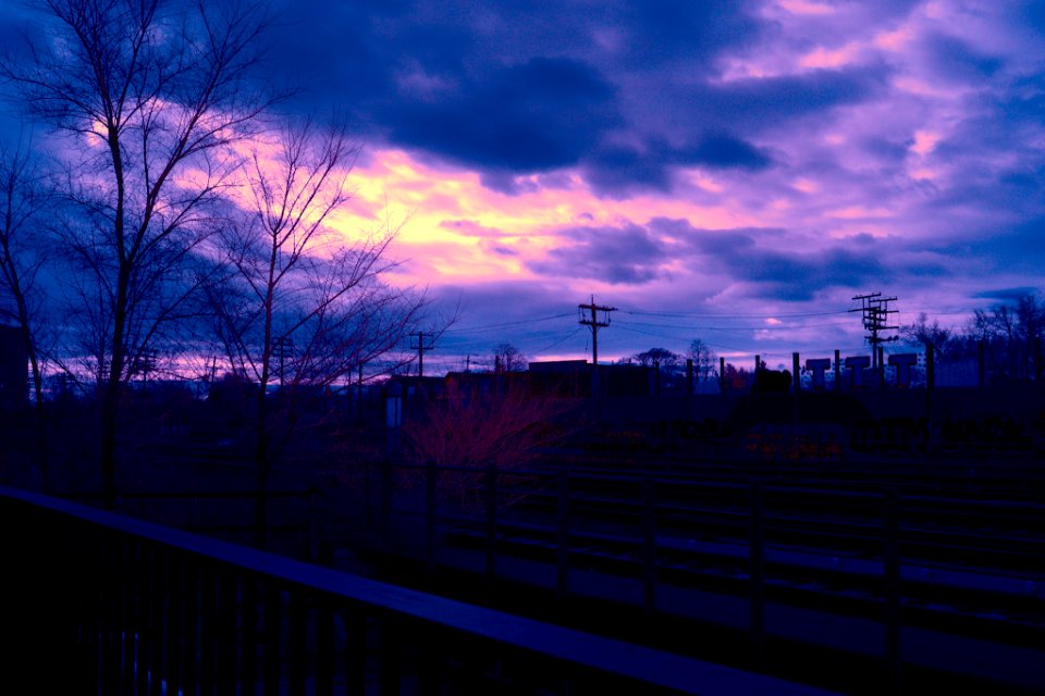 DSC 5155 v2