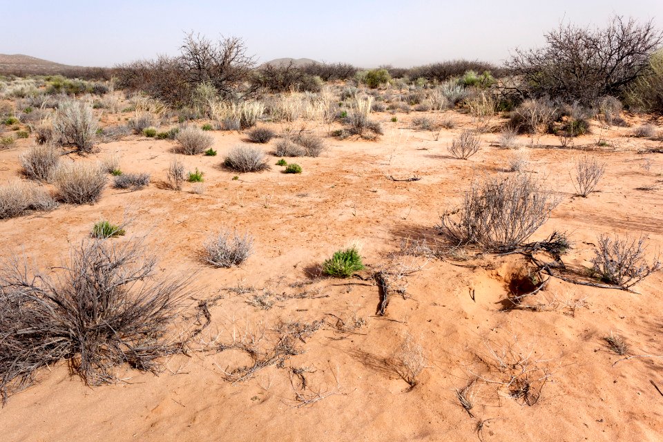 Northeast of Eagle Nest