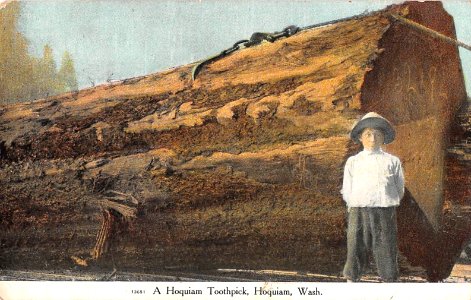 Hoquiam Toothpick postcard