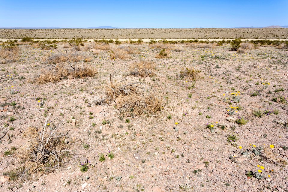 Near Goat Ridge