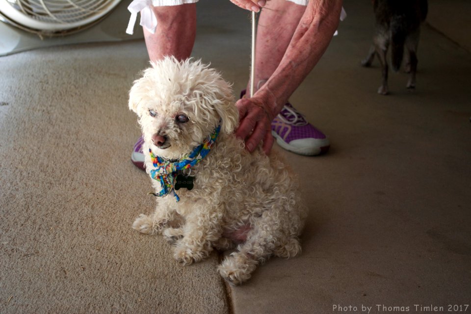 Kindred Spirits Animal Sanctuary