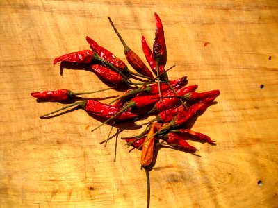 Heap of Dried Chili Peppers photo