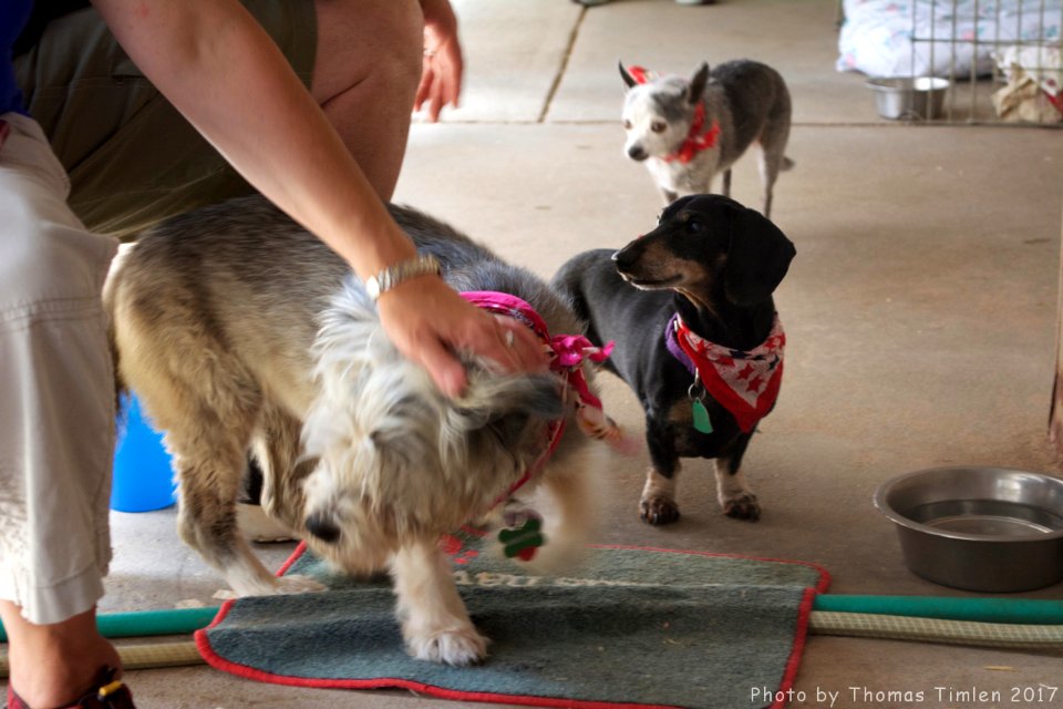 Kindred Spirits Animal Sanctuary