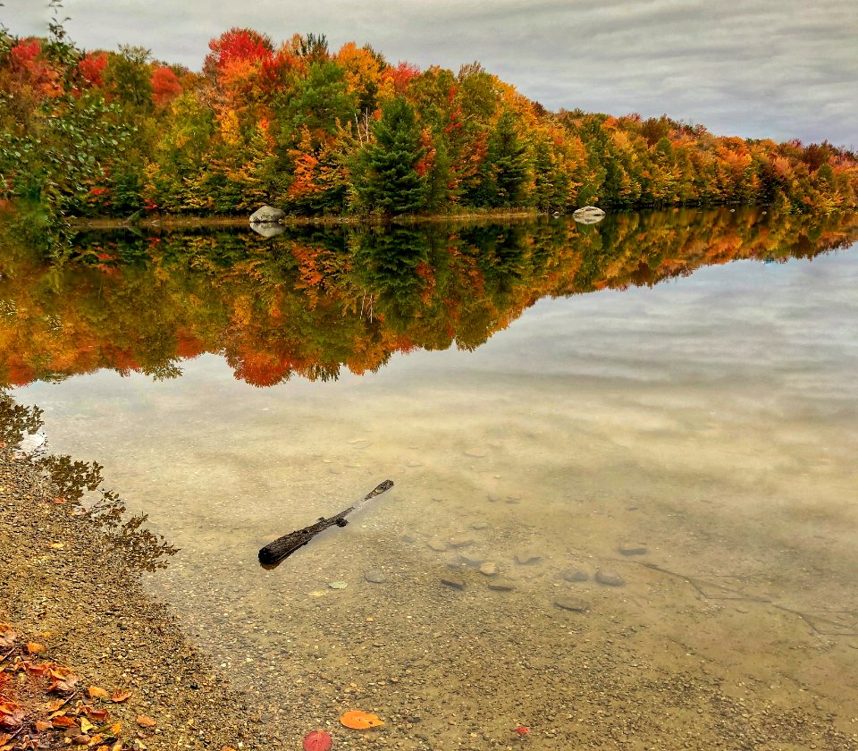 Lovely autumn, Vermont. This was the first time I was in Vermont for my short 3 days vacation. It rained all the time I was there but luckily I still managed to have some pictures. Iphone. Edited in Snapseed app.