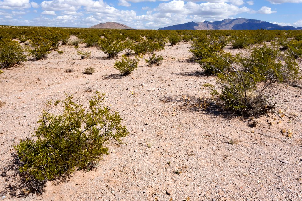 Near Goat Ridge