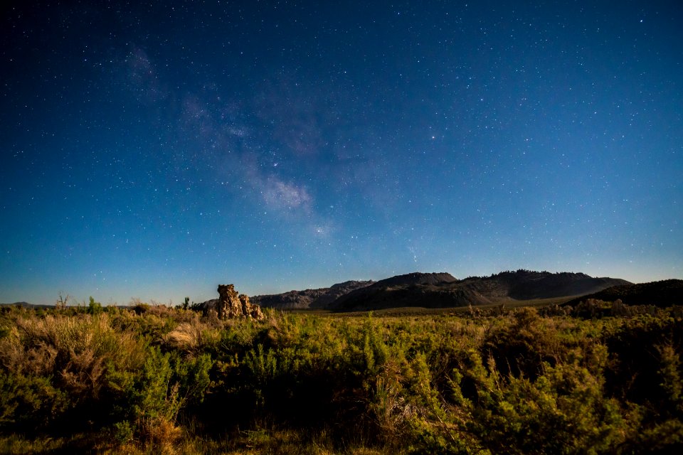 Starry Night at the Lake