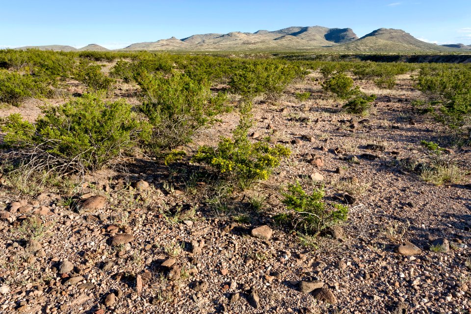 Near Slick Rock Wash