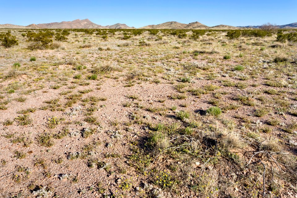 Southeast of Fourmile Hill