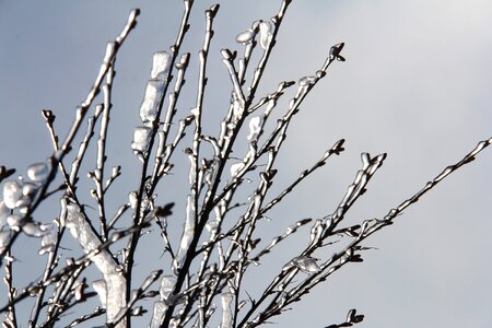 Natural icy ice