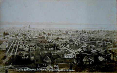 Birdseye View Hoquiam
