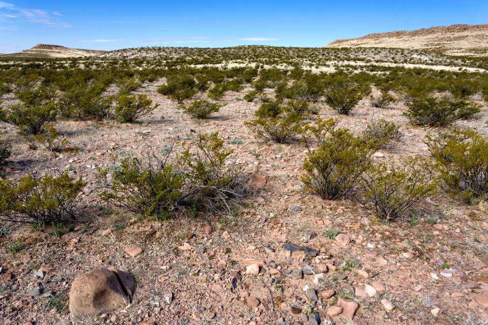 East of Apache Flats
