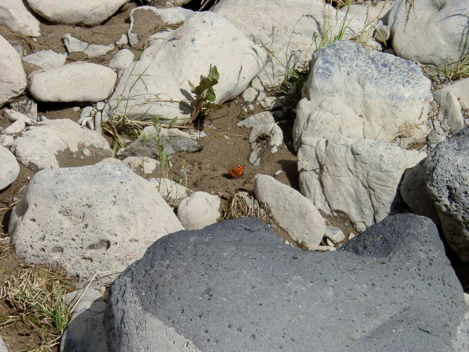 2003 08 08-009