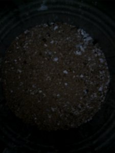 Stone Coal and Paper Ashes NoFlash2