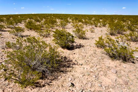 Near Apache Flats