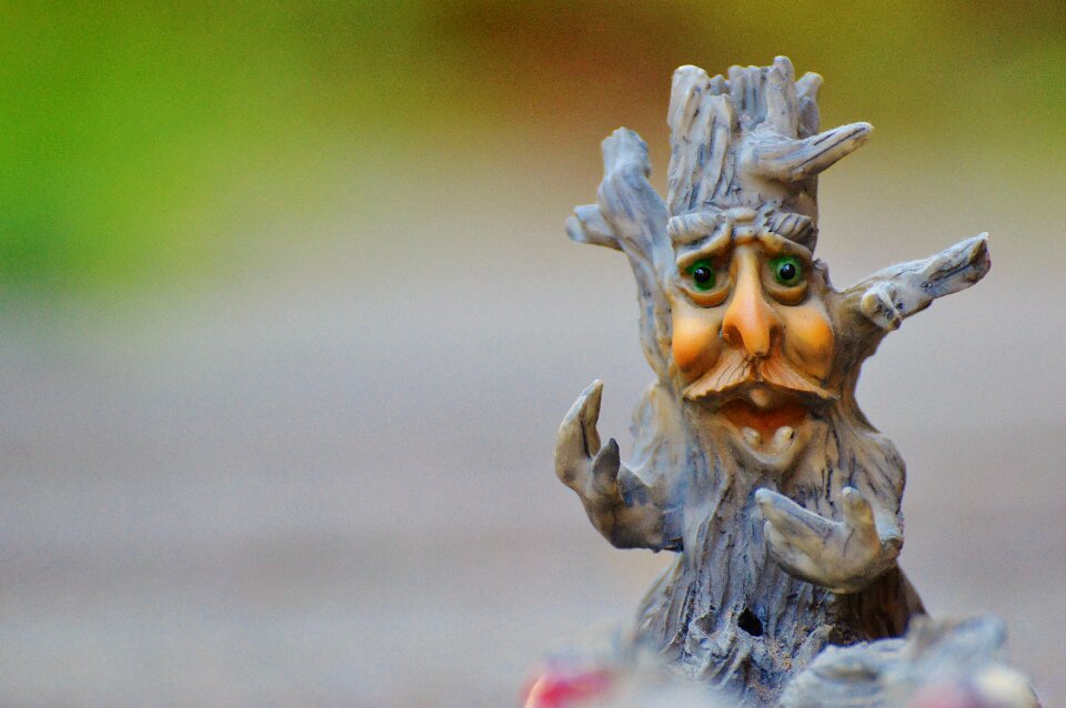 Funny tree stump creepy