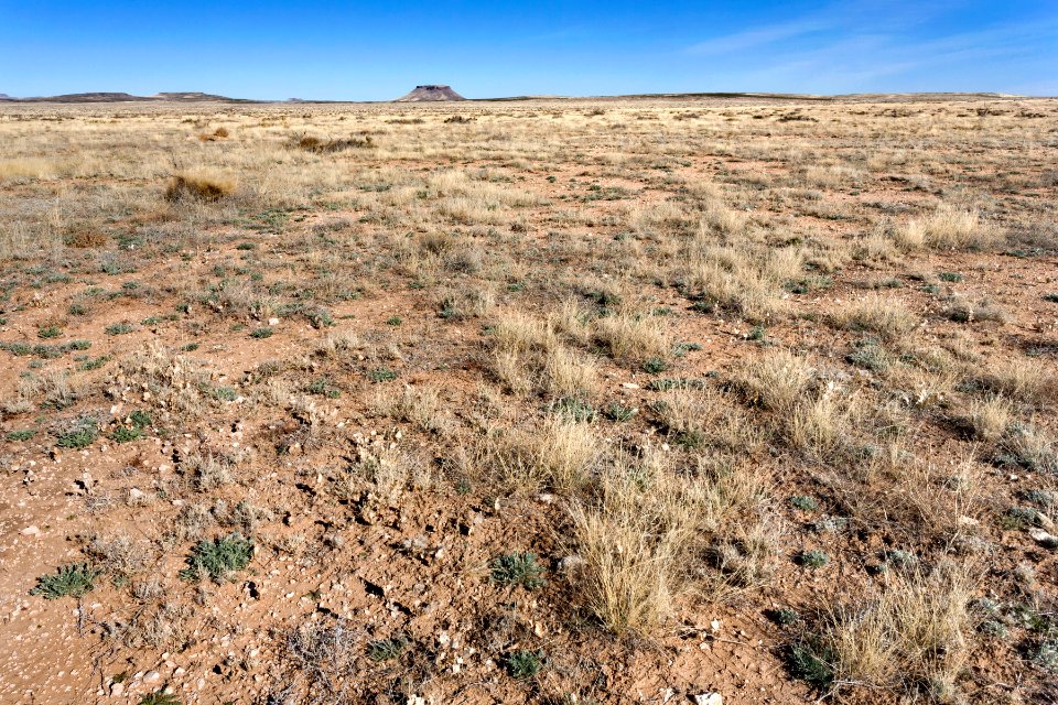 West of Massacre Peak