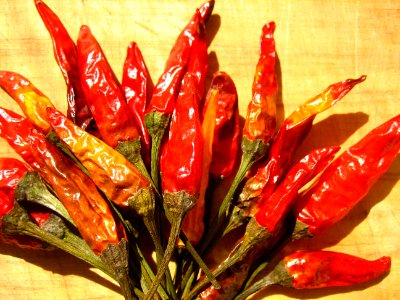 Bouquet of Dried Chili Peppers photo