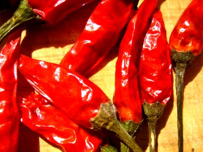 Heap of Dried Red Chili Peppers photo