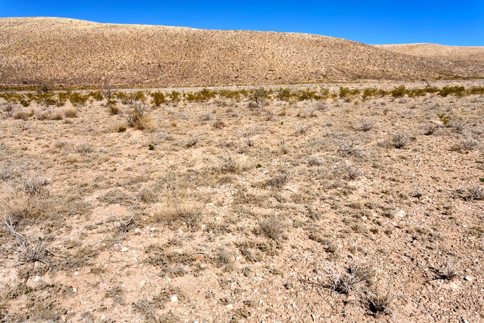 Otero Mesa