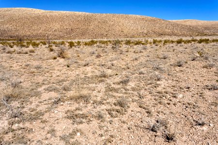 Otero Mesa