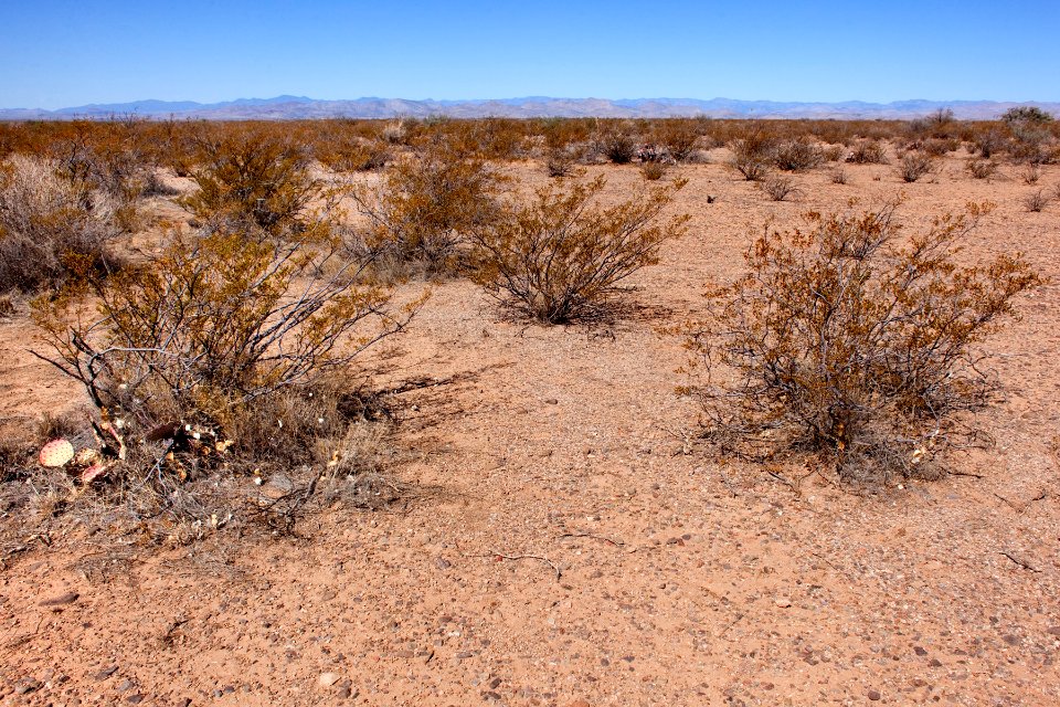 Mesa south of Cuchillo Negro Creek
