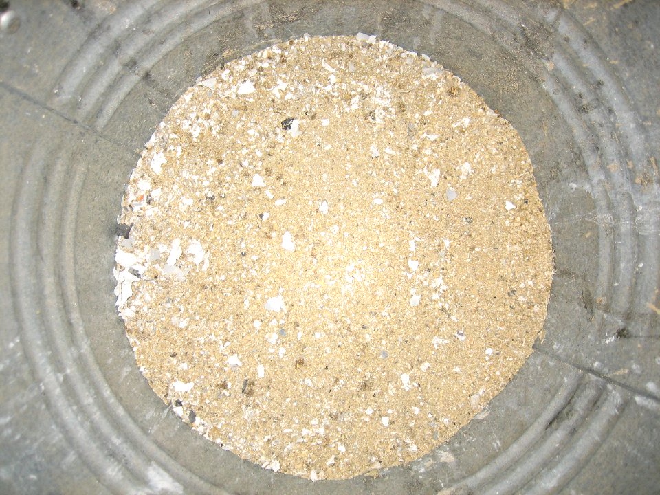 Stone Coal and Paper Ashes Flash2