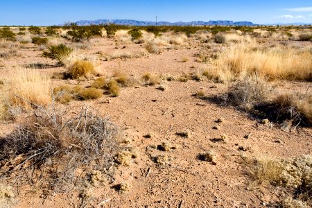 T or C Landfill