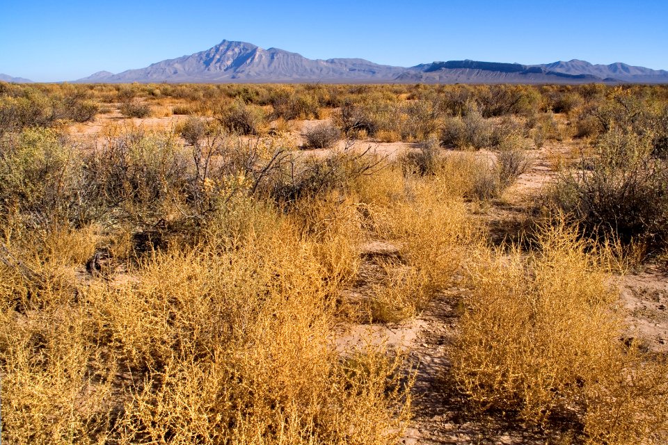 East side of Playas Valley