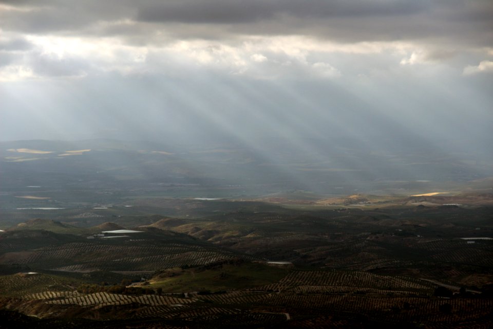 Olivares de regadío en Sierra Mágina, Jaén