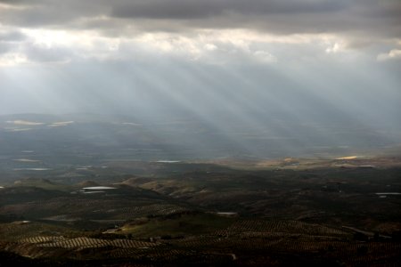 Olivares de regadío en Sierra Mágina, Jaén