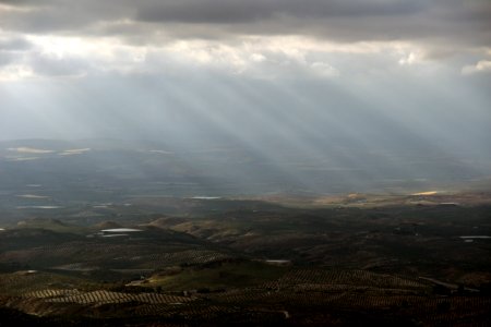 Olivares de regadío en Sierra Mágina, Jaén photo