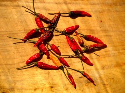 Heap of Dried Chili Peppers photo