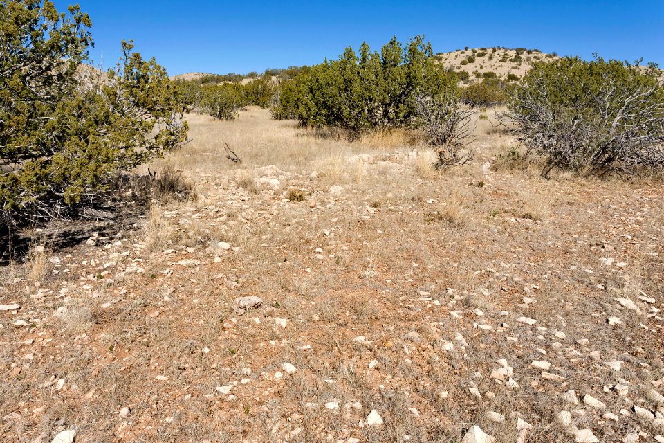Near Moccasin Draw