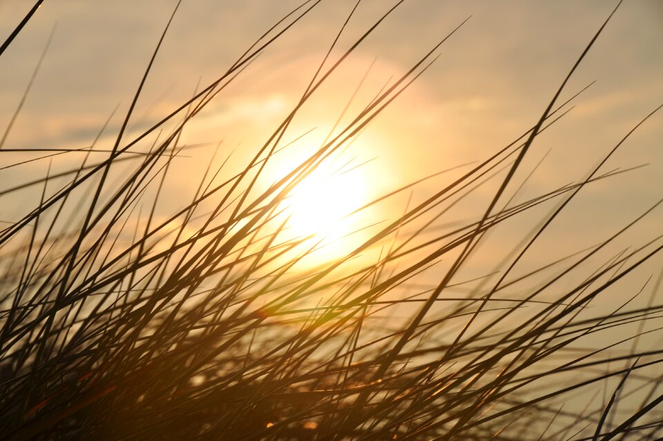 Nordfriesland nature conservation bank