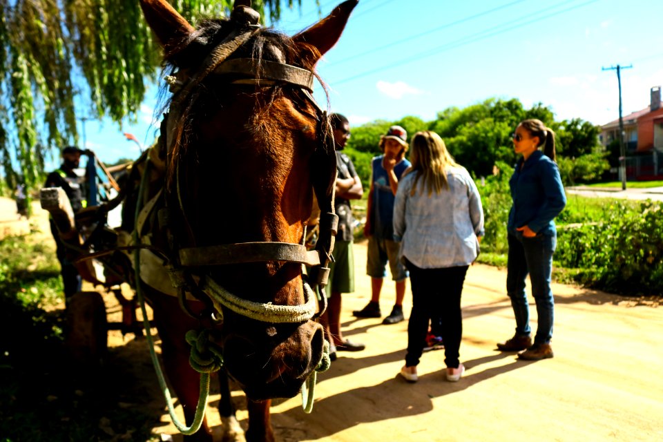 09.04.2019 - Blitz do Comupa - Foto Michel Corvello