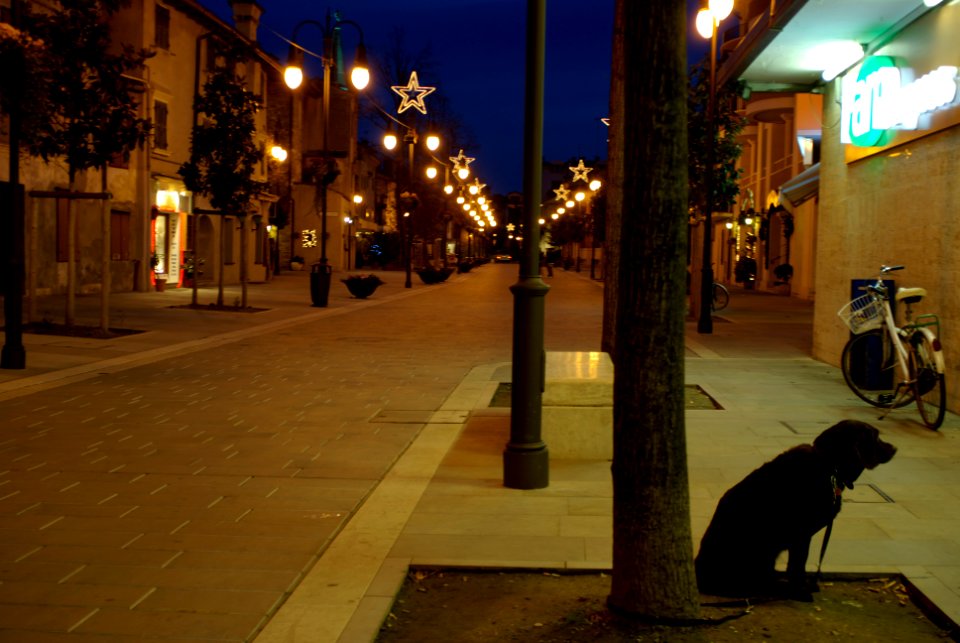 Maxximo Pentax K10 d