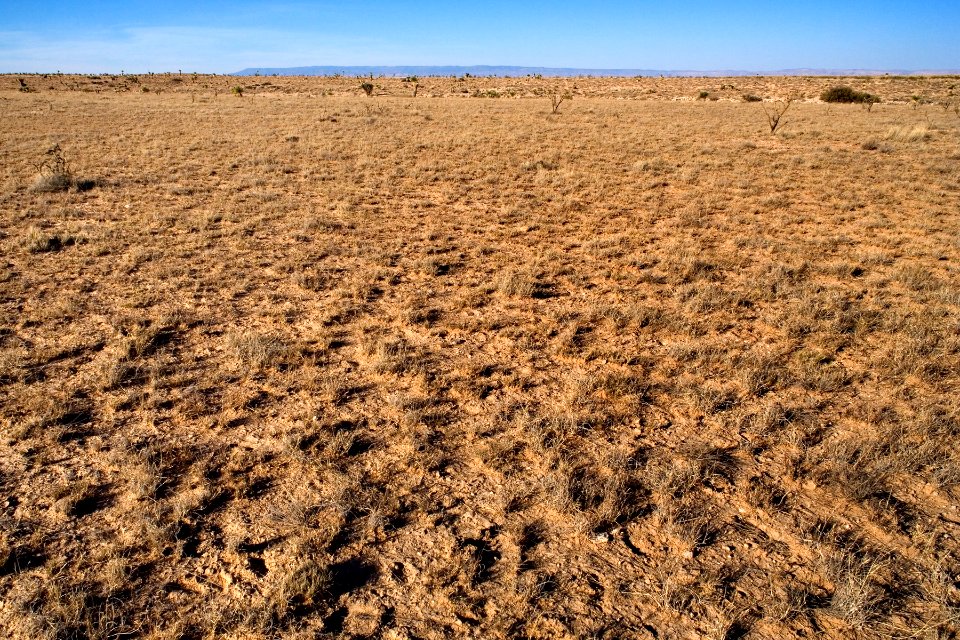 Western Otero Mesa