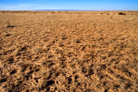 Western Otero Mesa