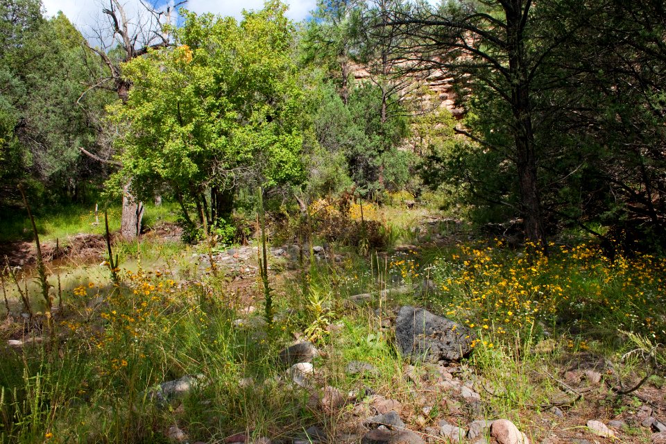 Continental Divide Trail
