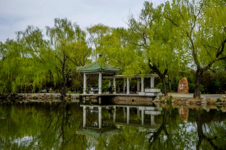 China 2017