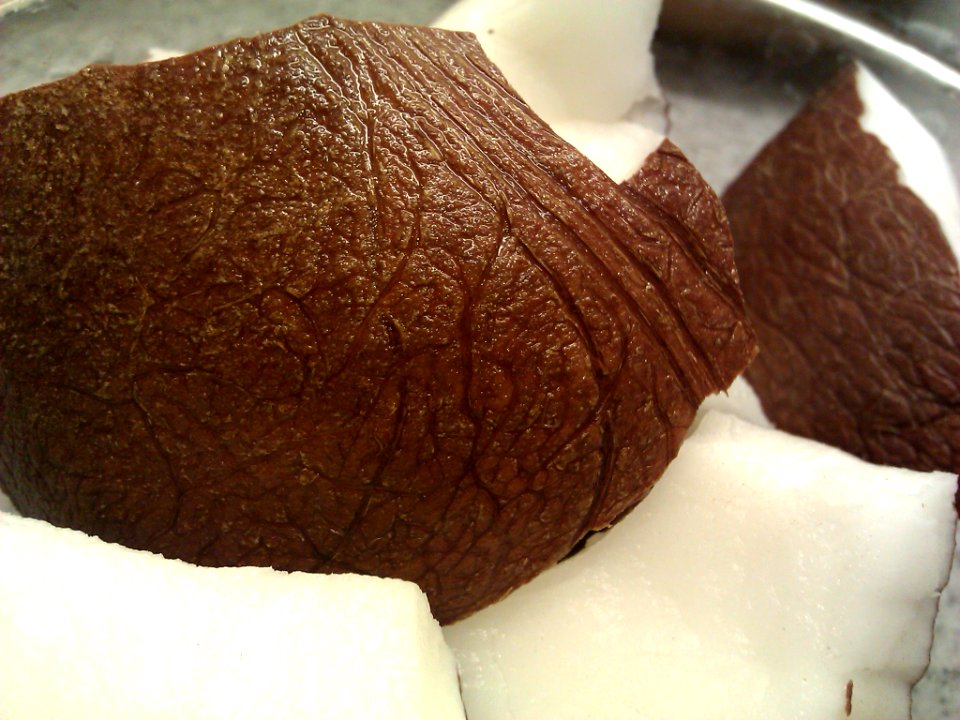Coconut Bits Public Domain Photo