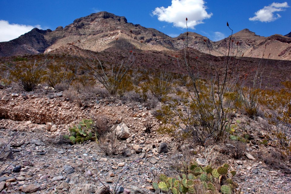 East bajada of Bennett Mountain