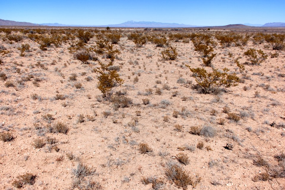 Jornada del Muerto Plain about 9 miles southeast of Truth or Consequences