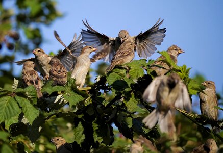 Leadership group nature