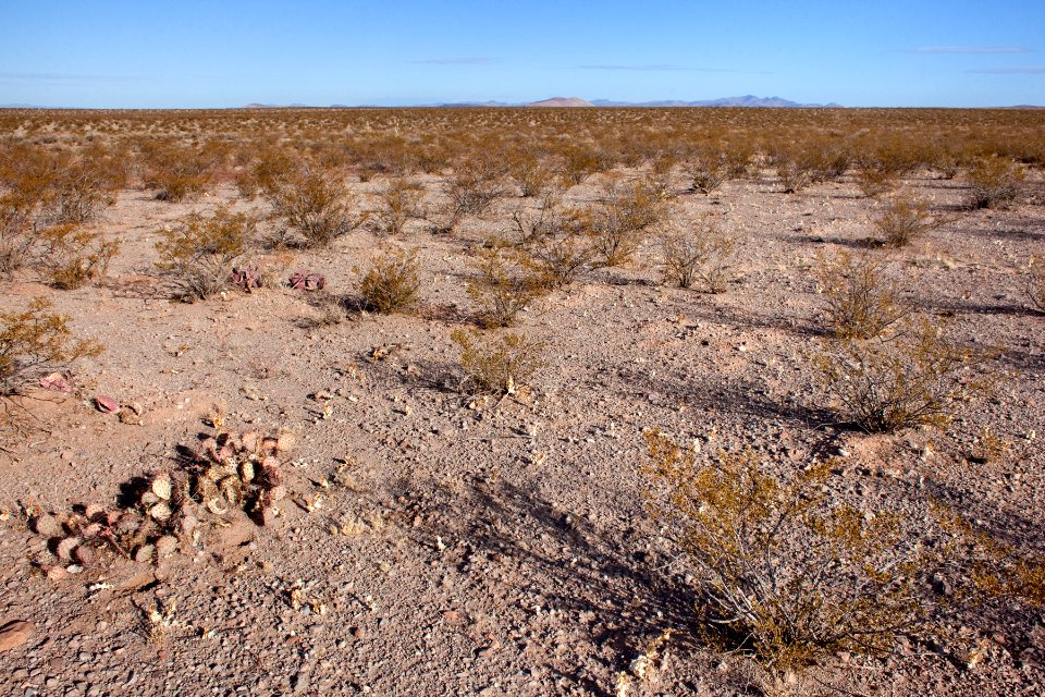 Northwest of Goat Ridge