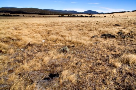 Between Angel Fire and Springer